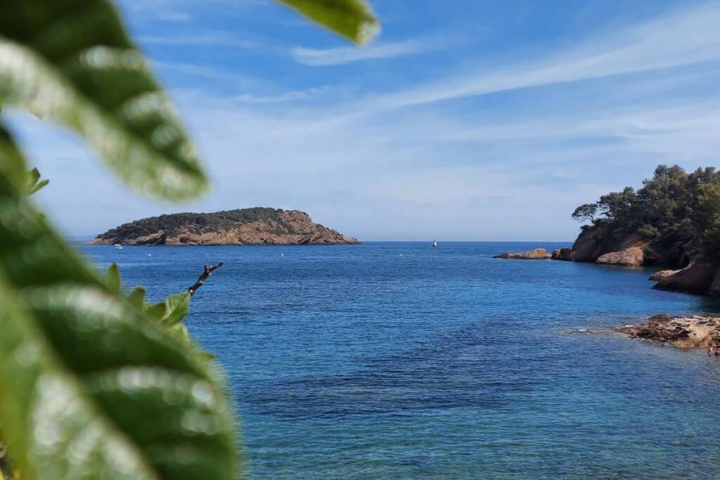 Sea View Climatise Terrasse Vue Mer Parking By Laconciergerie13 La Ciotat Kültér fotó